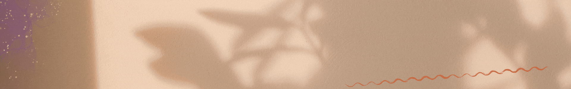 footer.gif