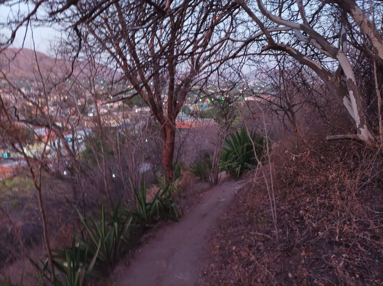 Entrenamiento de Caminata de Montaña ruta Taguaguay - Los Chivos 