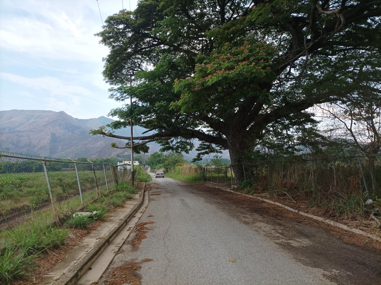 Entrenamiento de Caminata ruta El Samán - Dimas 11 K