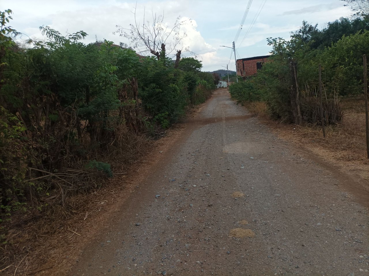 Entrenamiento de Caminata ruta Montero 11.55K