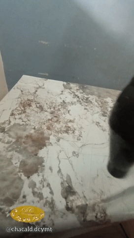 1000240328.gif