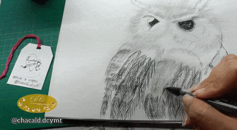 1000193316.gif