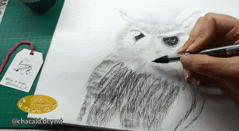 1000193318.gif