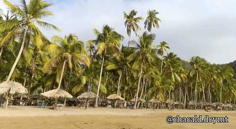 1000133492.gif
