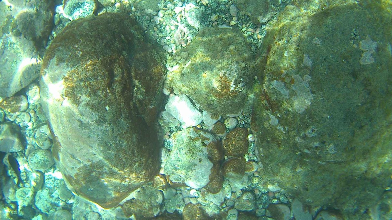 20180104_032519A.jpg