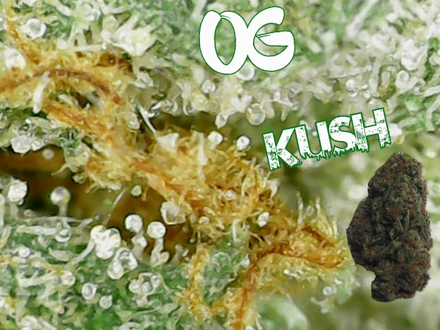 og kush.png
