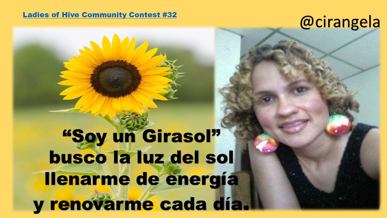 ESP/ENG] Ladies of Hive Community Contest #32 Soy un girasol, busco la luz  del sol, llenarme de energía y renovarme cada día. // I am a sunflower, I  seek the sunlight, to
