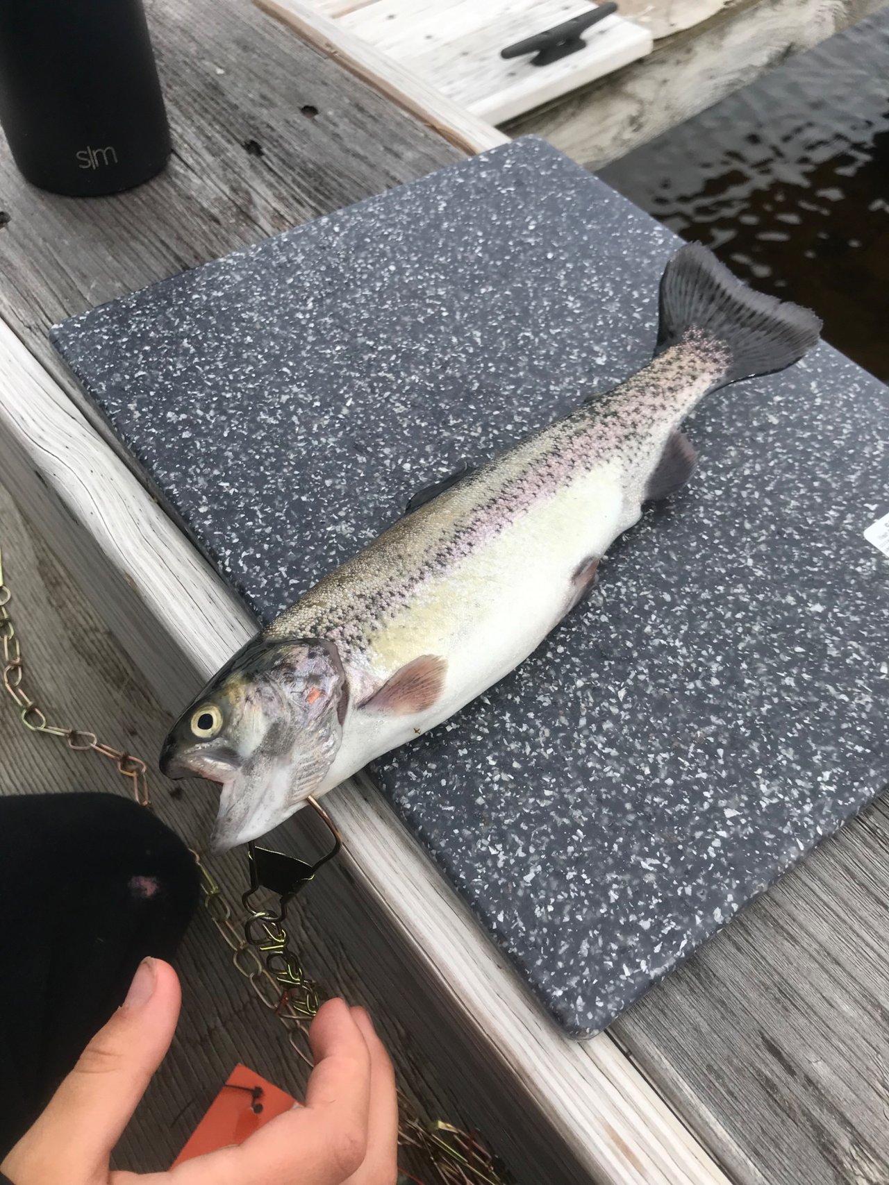 Cleaning Our First Trout