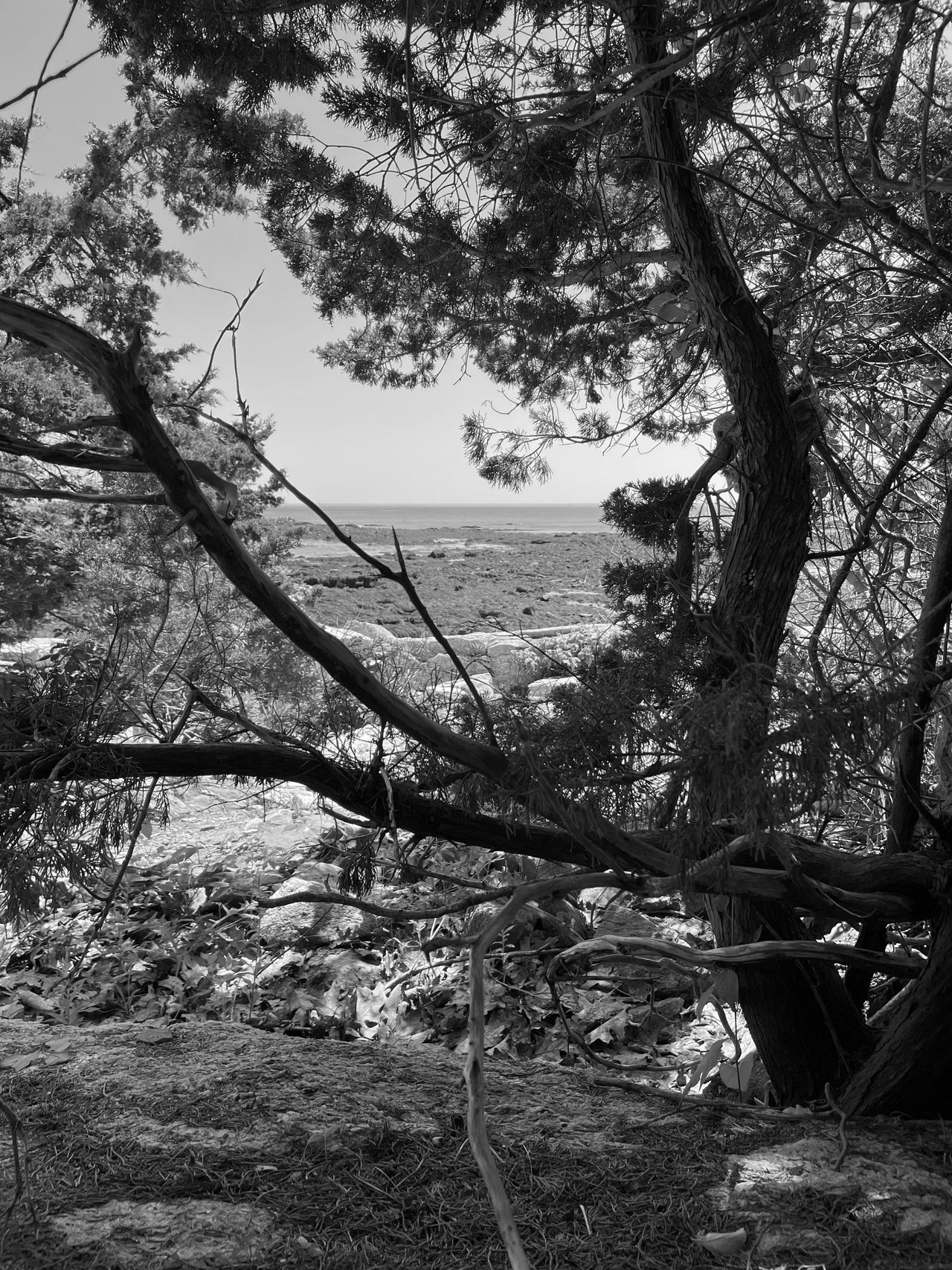 Seaside Monochrome Monday