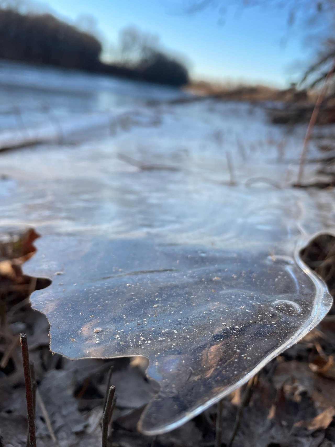 Icy Riverbank Walk