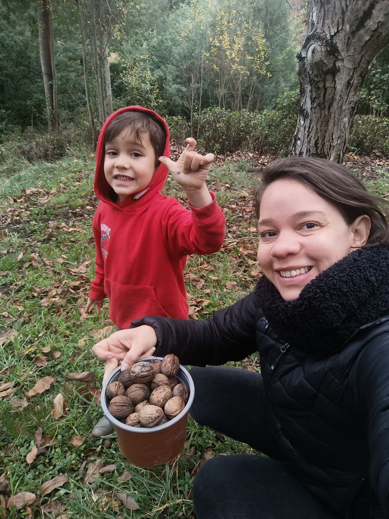 A kind walnut tree and our trip to the countryside