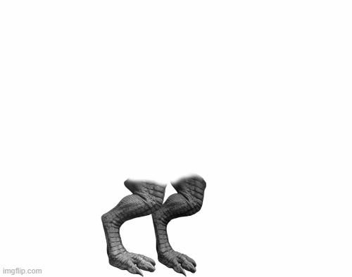 process.gif