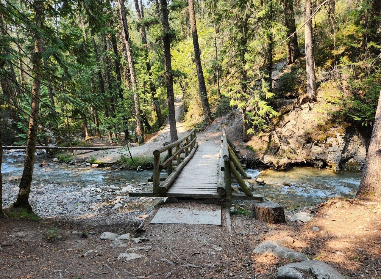 Juniper Trail through the Sinclair Canyon, Radium BC