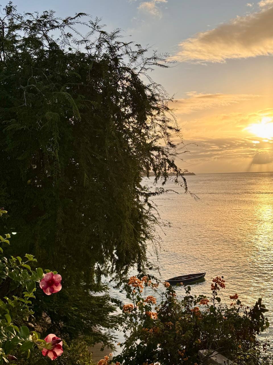 Photos from Grenada