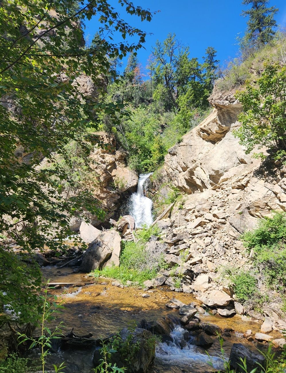 A Walk Through Hardy Falls Regional Park