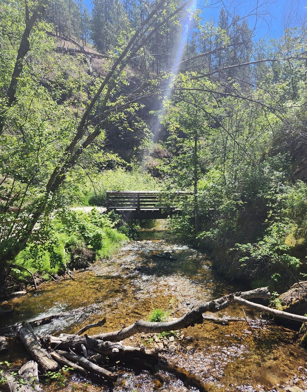 A Walk Through Hardy Falls Regional Park