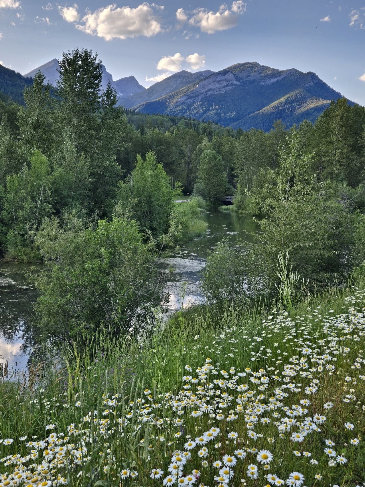 Walking Around the Town of Fernie