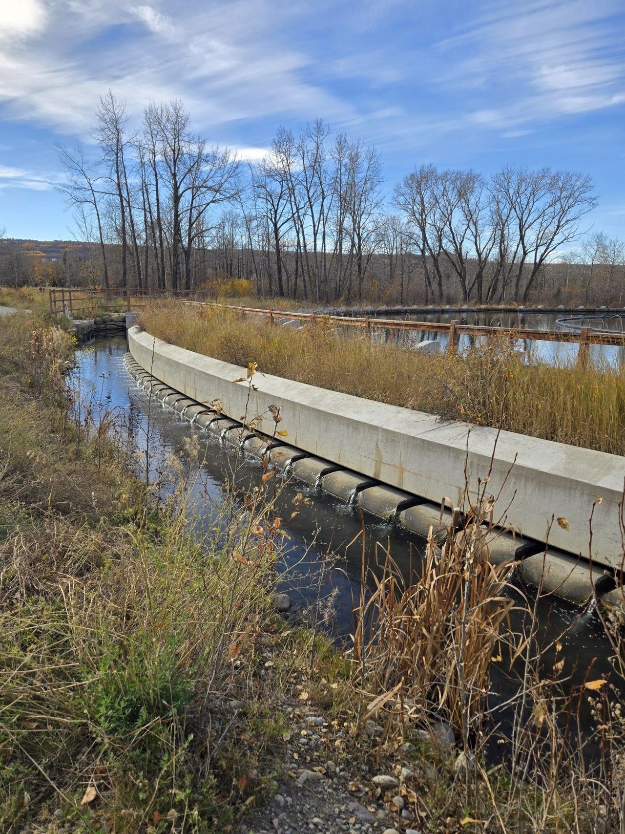 A Walk Through Dale Hodges Park
