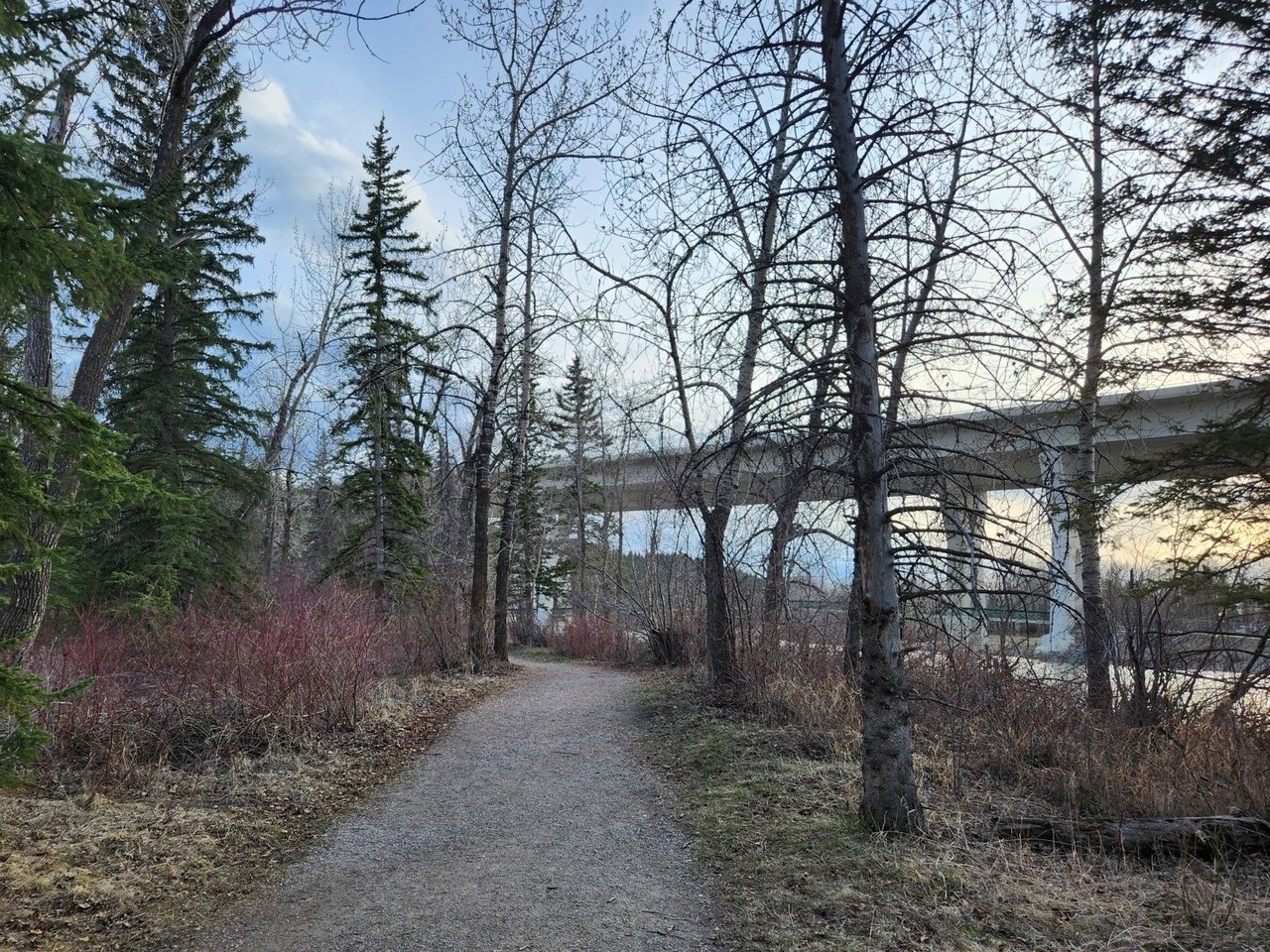 Stoney Trail ~ Bow River Crossing