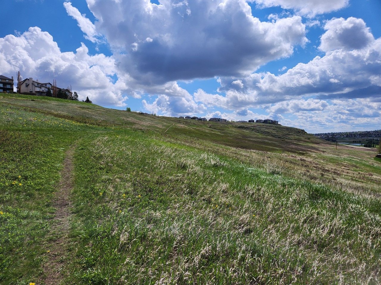 A walk through the Country Hills