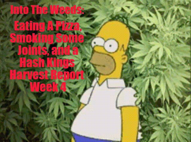 into the weeds wk 4.gif