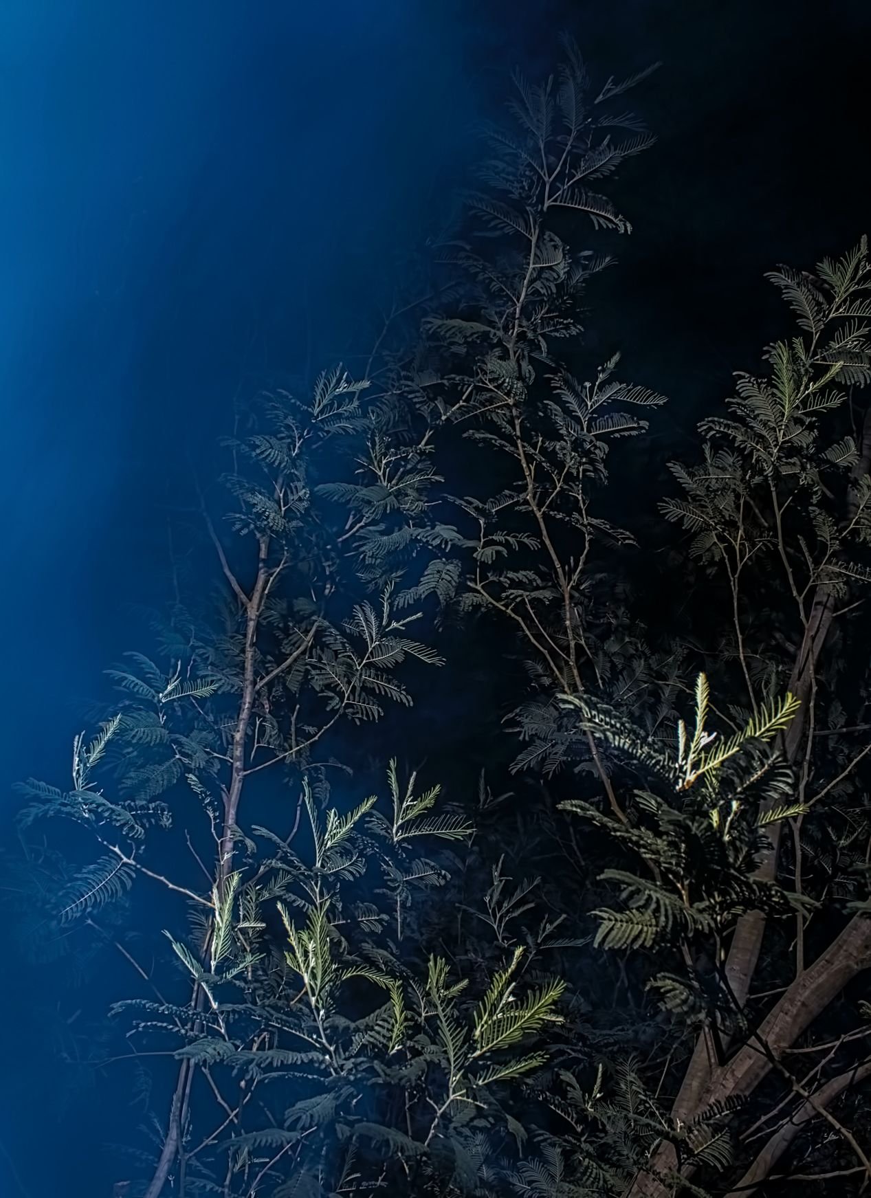 https://files.peakd.com/file/peakd-hive/cryptoreforma/23wBT6nSjNdDVf6bDzEDGiE8CbW6k4nTVDwSHXh8qXs9PVdPsMgRKwVgEvWC8VcQPkyvV.jpg