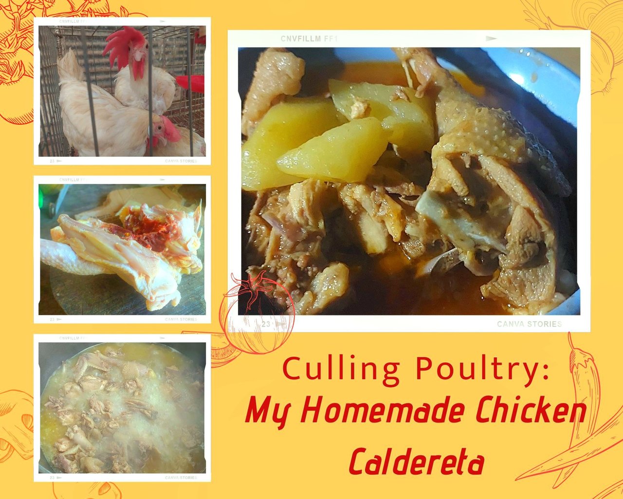 Culling Poultry: My Homemade Chicken Caldereta | PeakD