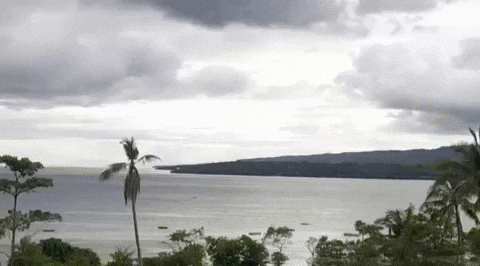 i7qa8PXKCkRjpBU1kC.gif