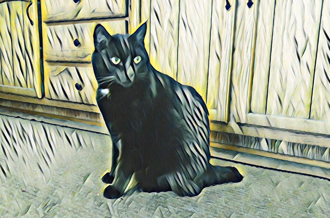 https://files.peakd.com/file/peakd-hive/curatorcat.ccc/23zS9dJqMGksUzhys2i9GepQ4hbgrC5YoWvQ7YQxKLmNae1qU5ru2YvNCu9X2xsjAkq9a.jpg