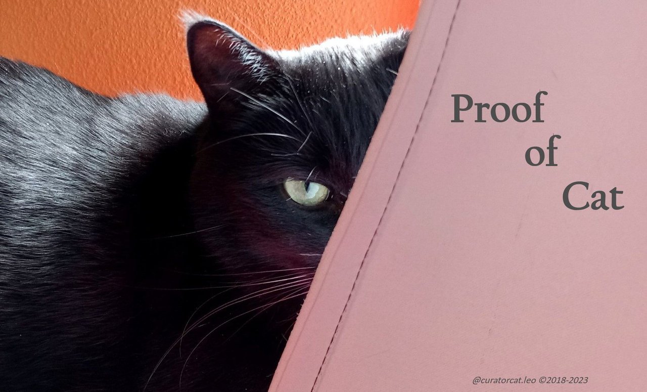 https://files.peakd.com/file/peakd-hive/curatorcat.leo/23wqpZTWWmpdD78i6uQQu9asN84BrCqXZdEEUXL9KuJZhitzkgDgCfXVZhurhzSrWkreC.jpg