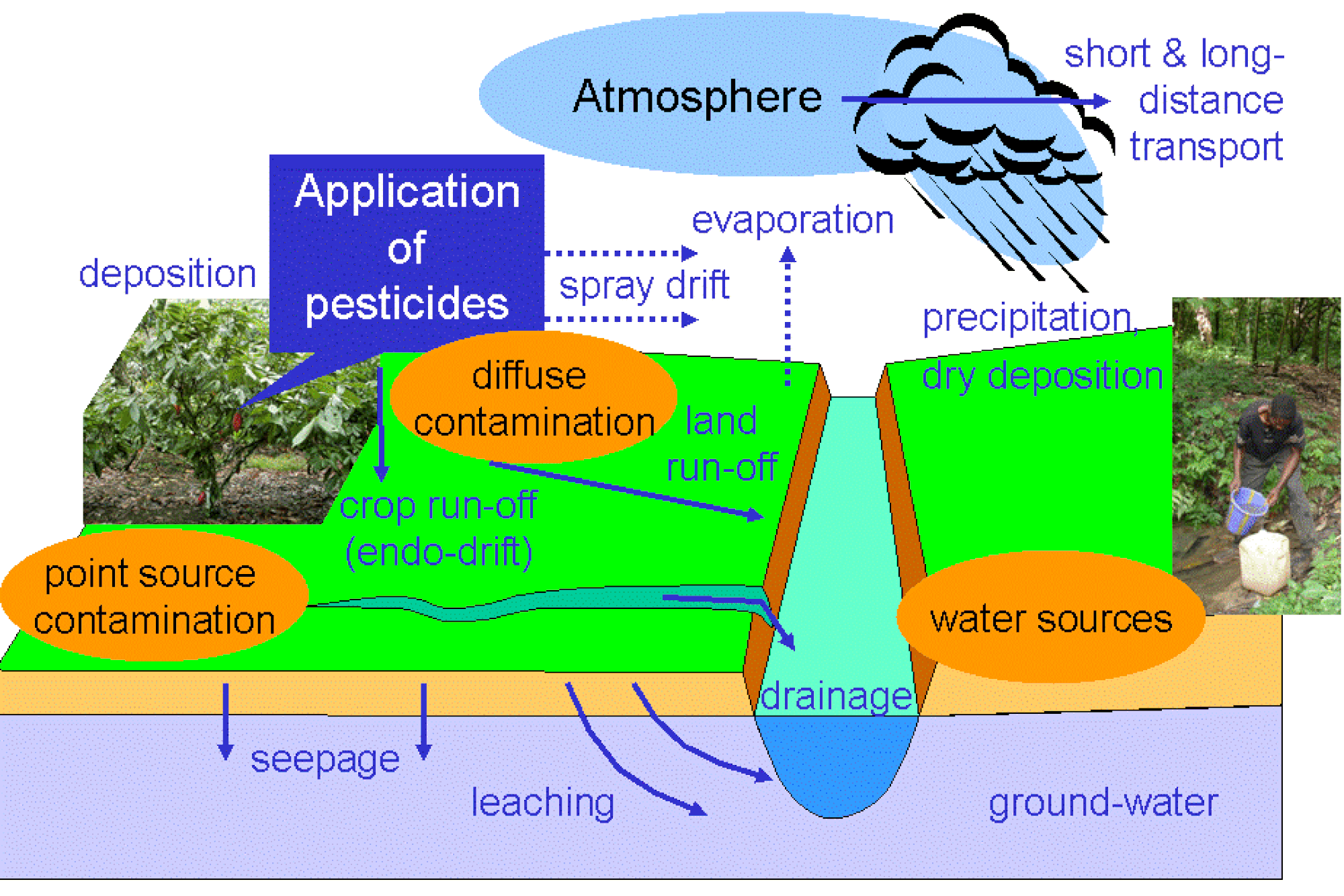 Env_contamination1.if.gif