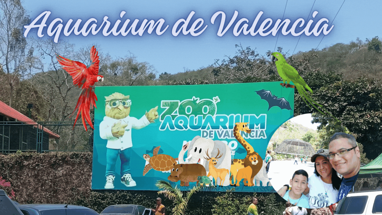 Aquarium de Valencia.gif