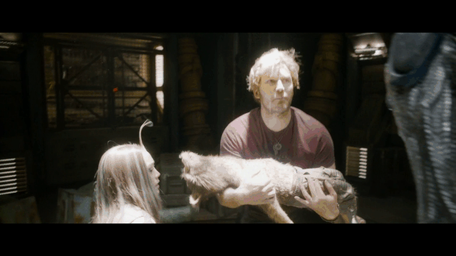 gif01.gif