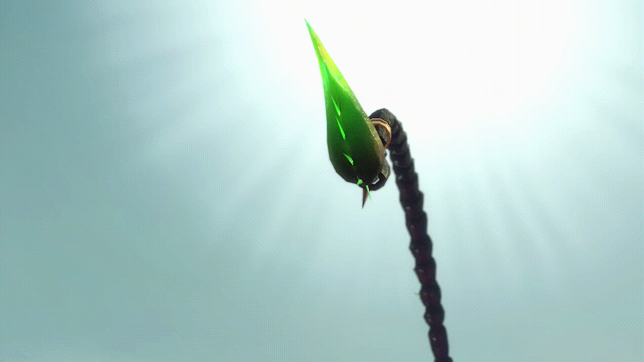 gif7.gif
