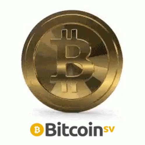 bitcoin-coin.gif
