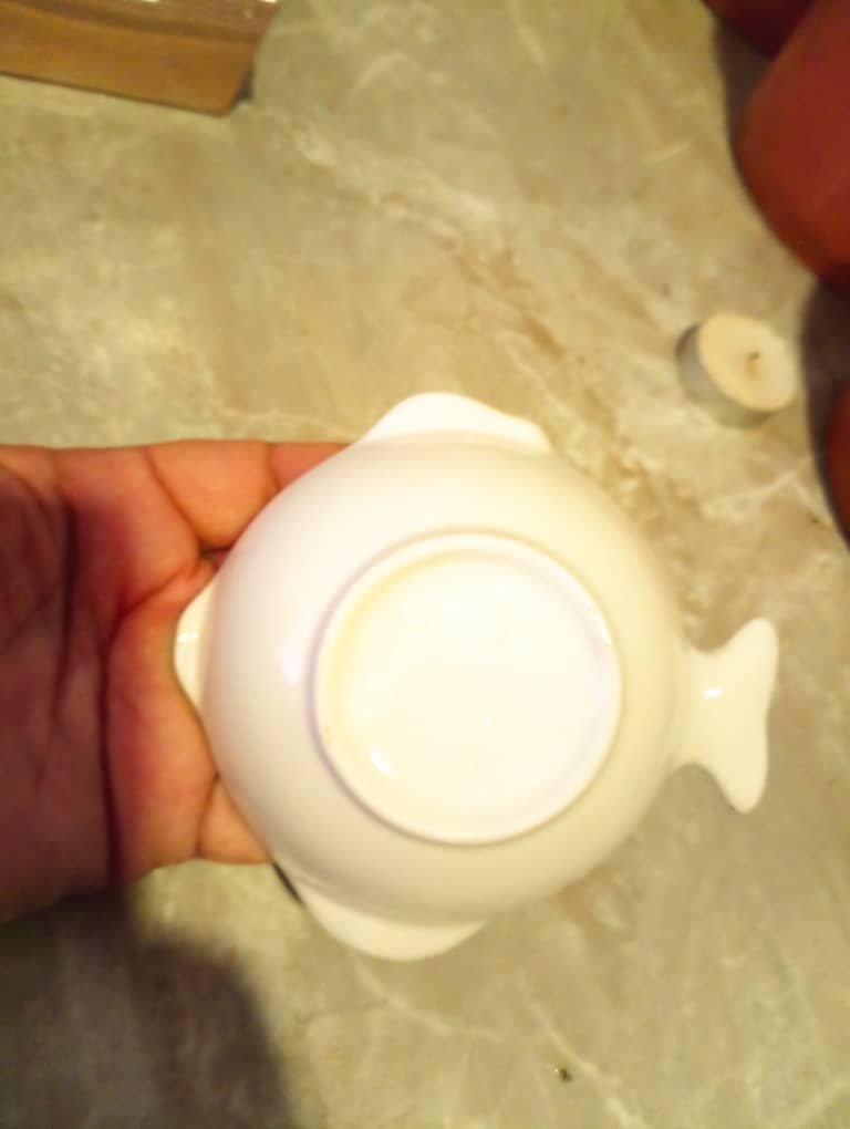 WhatsApp Image 2024-03-25 at 9.50.05 AM.jpeg