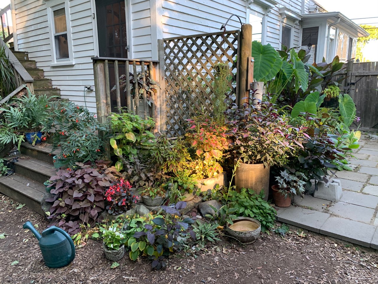 patio_left_hz.jpg