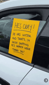 He's Happier Here.gif