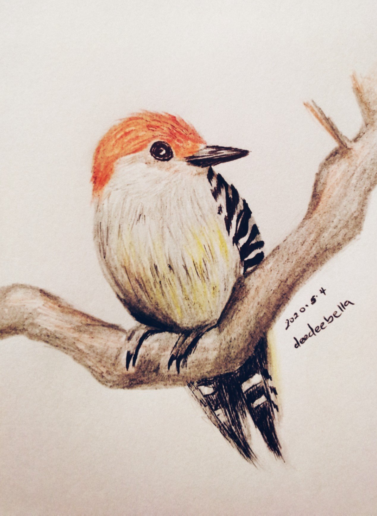 Birds Coloring Page — KinderArt