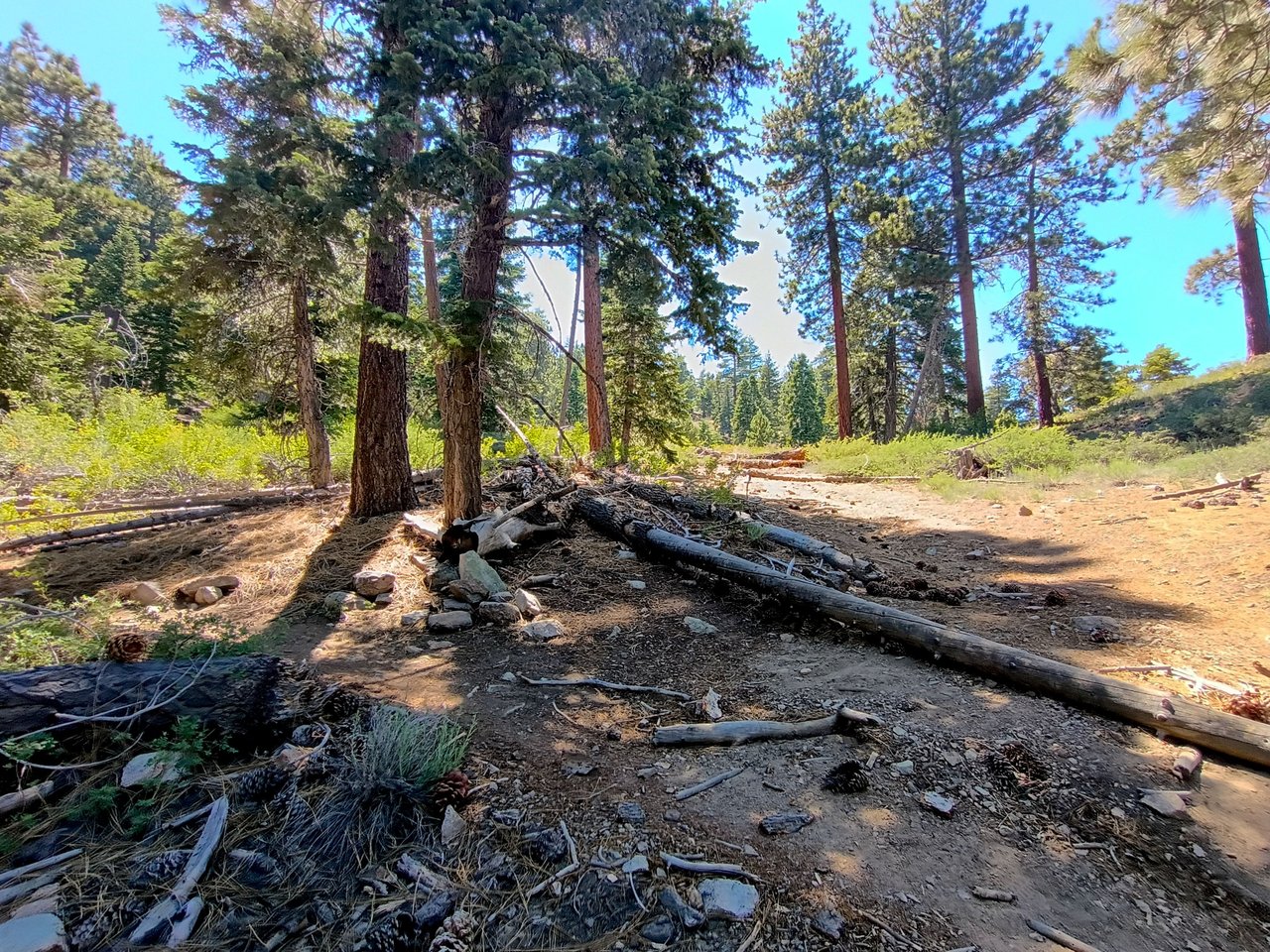 https://files.peakd.com/file/peakd-hive/derekrichardson/EpA213z88MZFfsapMUsNTRCNFzFASUmLmBwLXGZdidjuCdJL3FABwpC1B18cbgrfk4Y.jpg