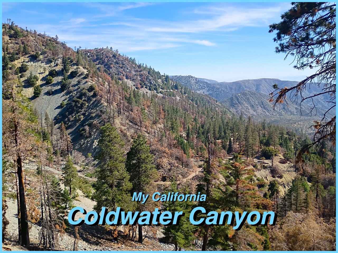 My California - Coldwater Canyon