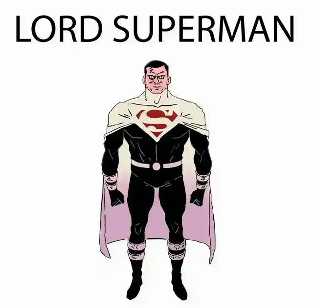 Justice Lords - Wikipedia