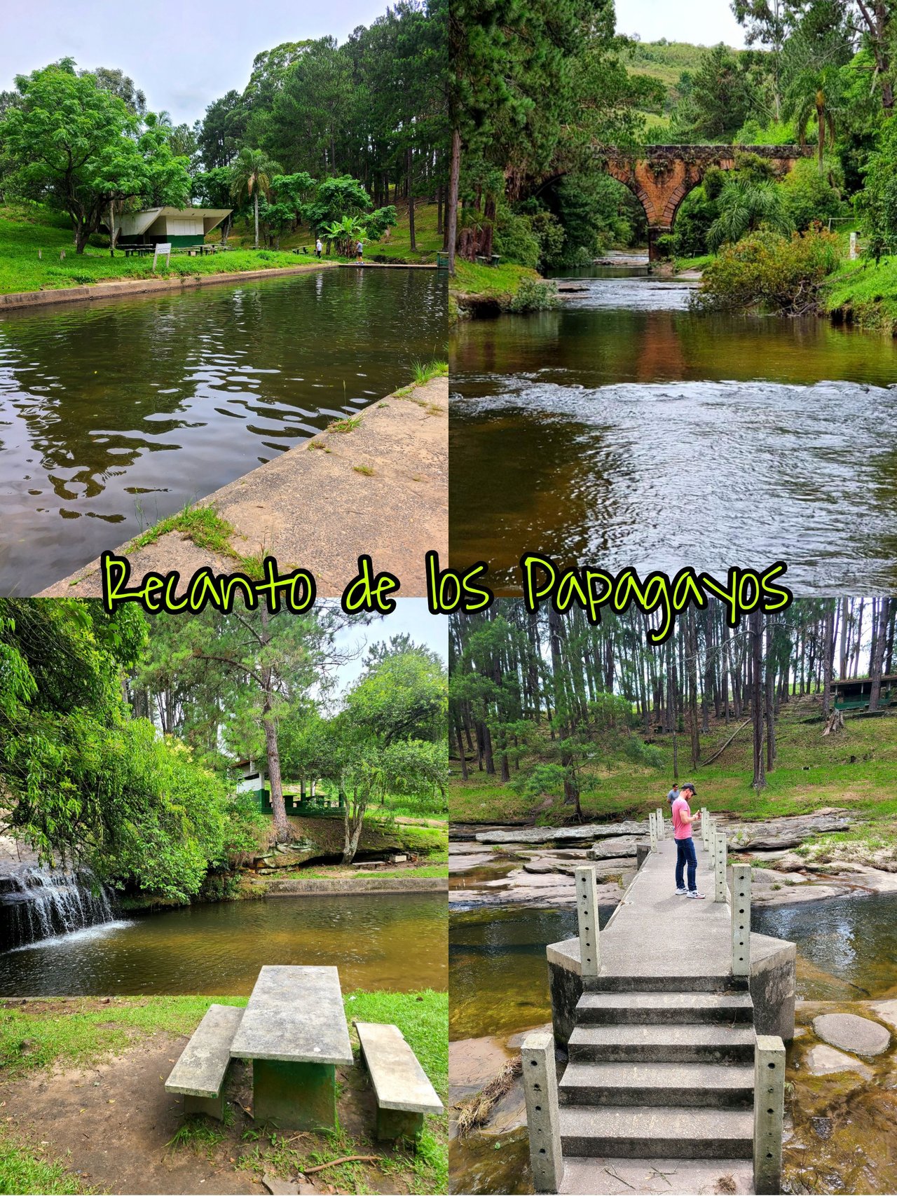 Tourism in Brasil: My visit to the Recanto de los Papagayos - Mi visita al Recanto de los Papagayos. 🚌🍃🦜🎒