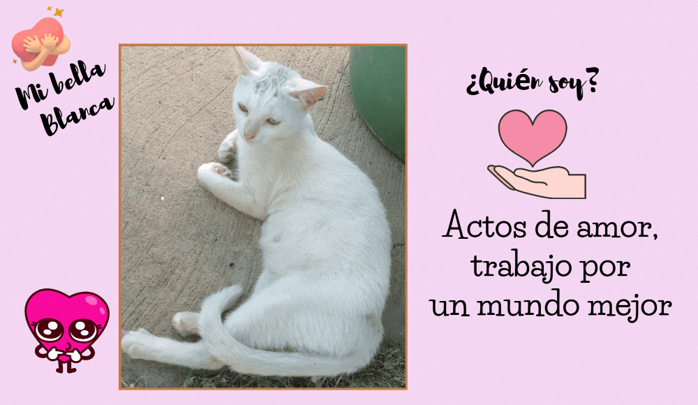 IMAG 3 Acto de amor por un mundo mejor.gif