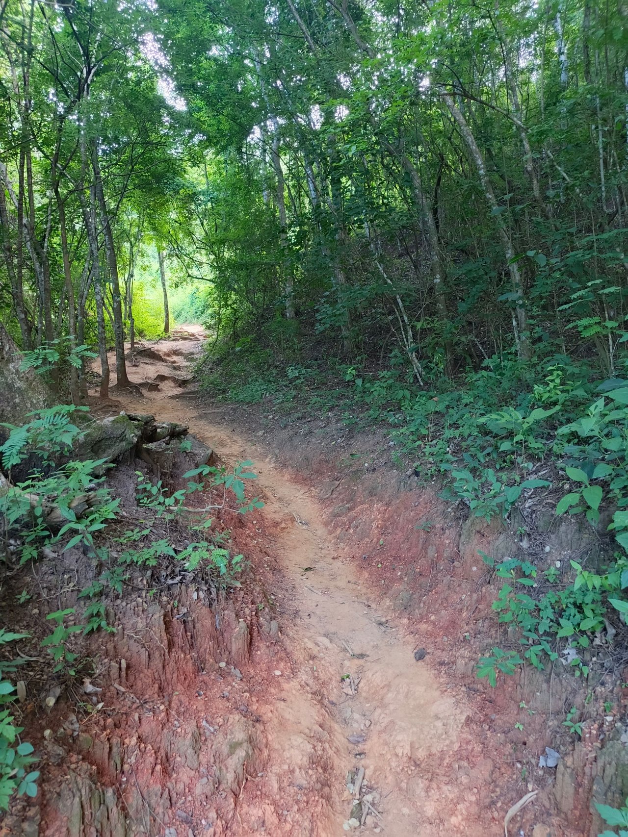 My first time on Peack Naiguatá