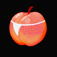 2023_01_29_21_45_51.gif