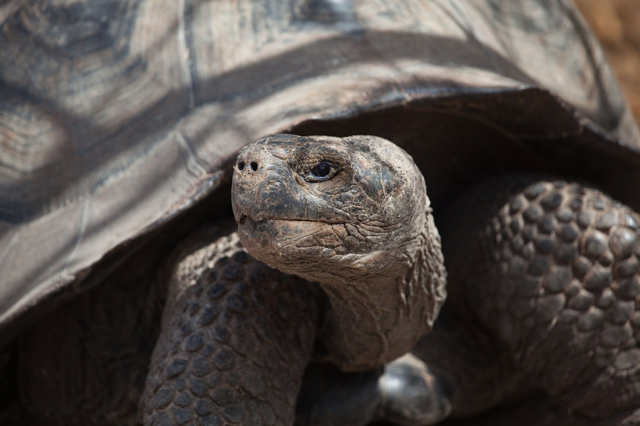 Day 3 Galapagos  (28 of 33).jpg