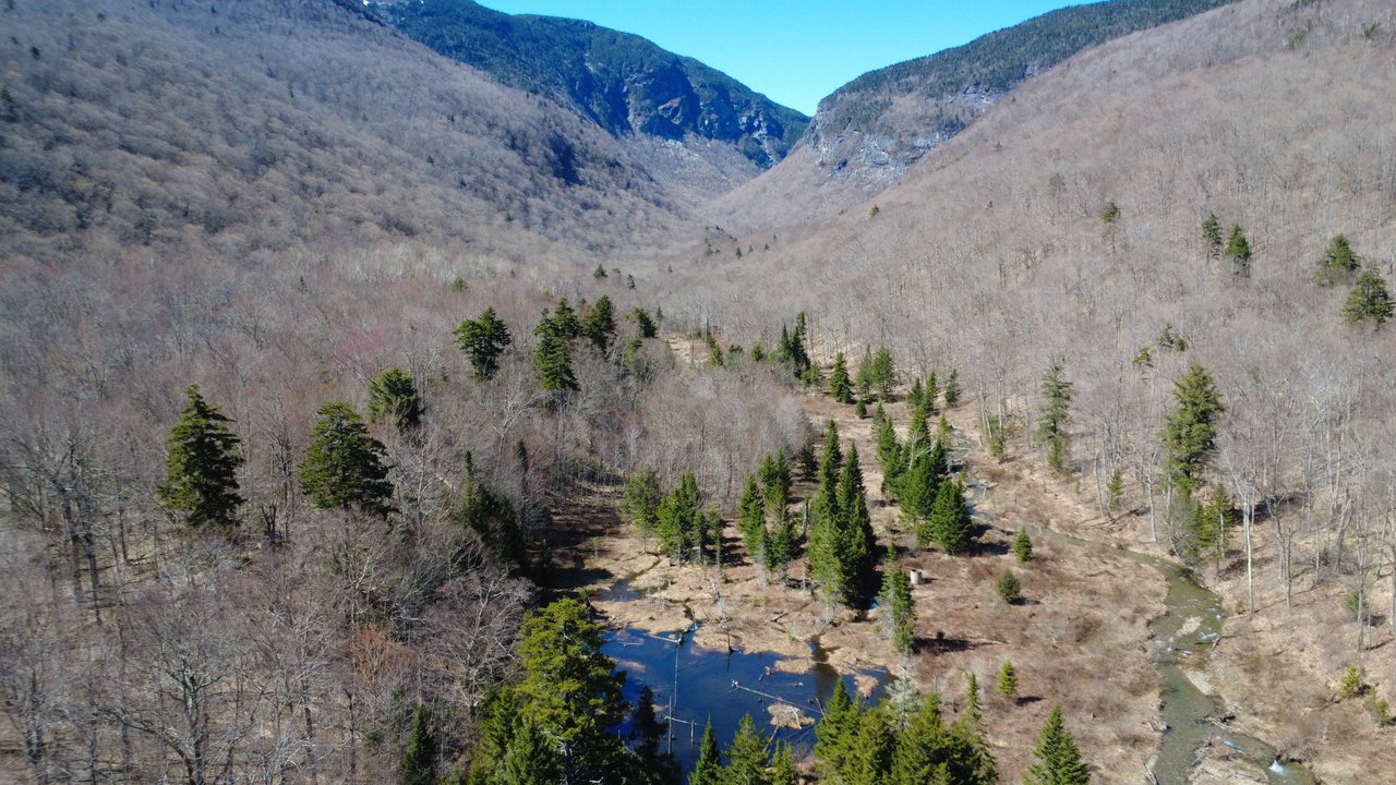 DJI_0250.JPG