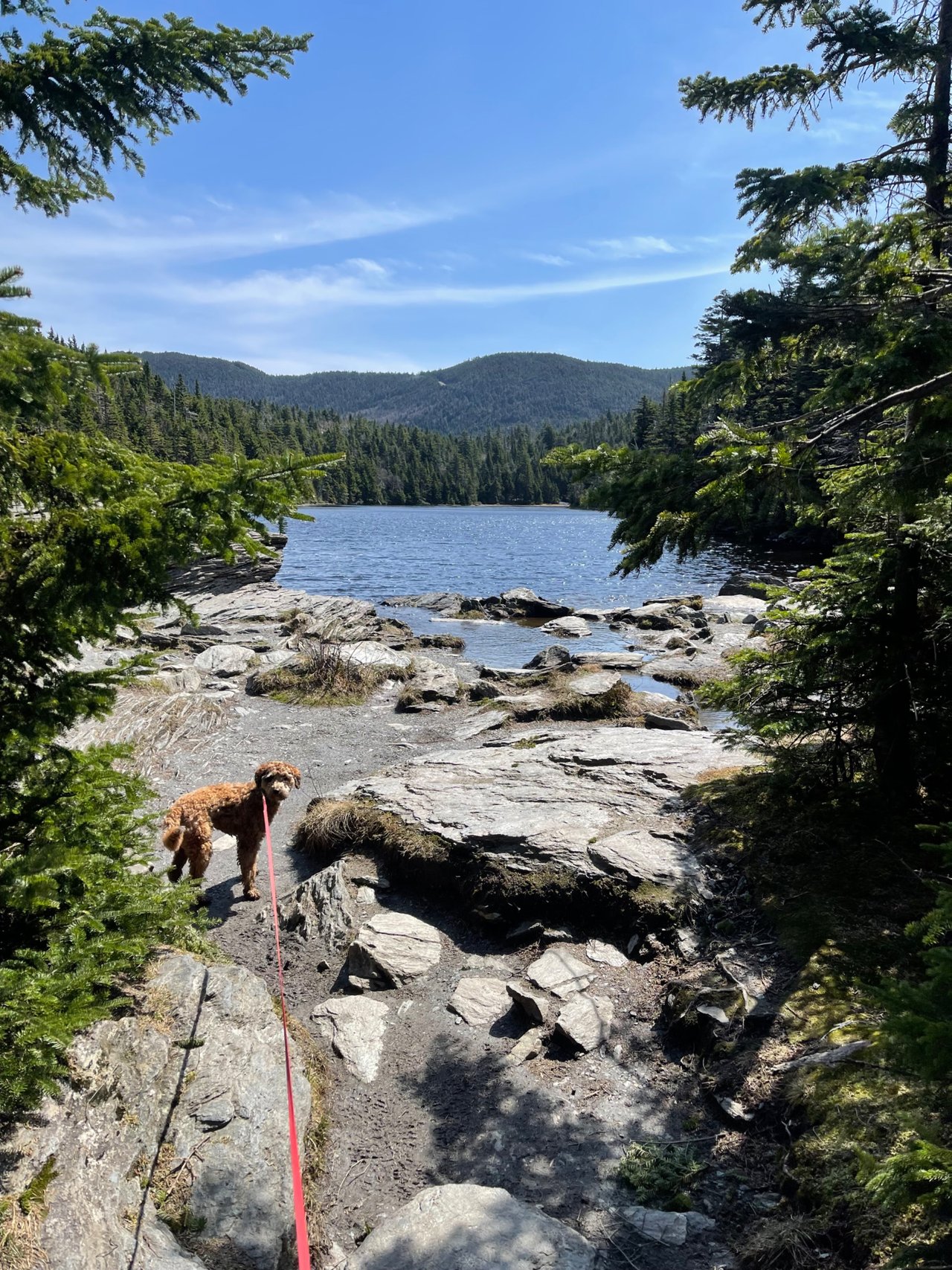 Hiking Smugglers Notch to Sterling Pond with my Puppy
