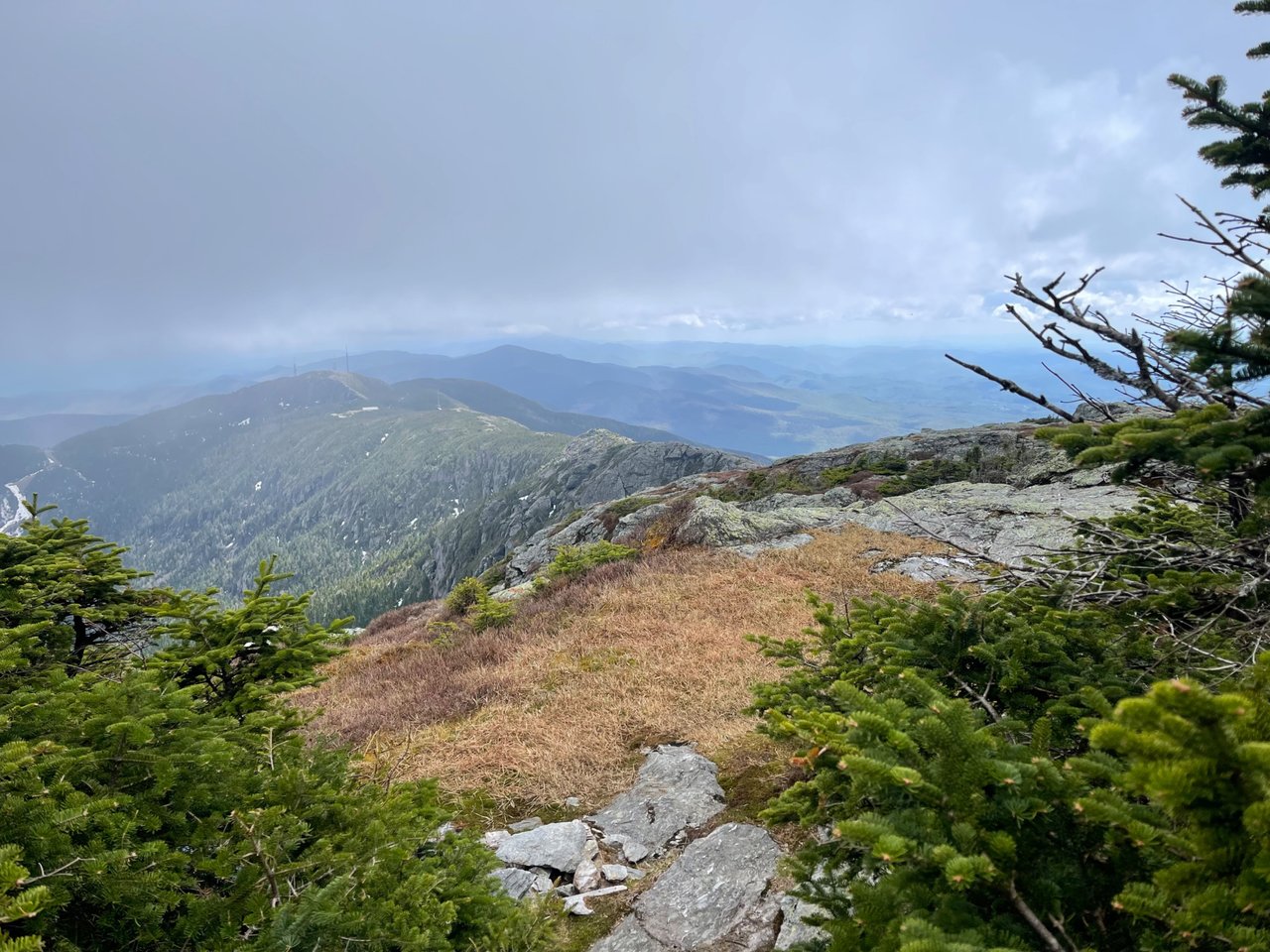 IMG_1720.jpeg